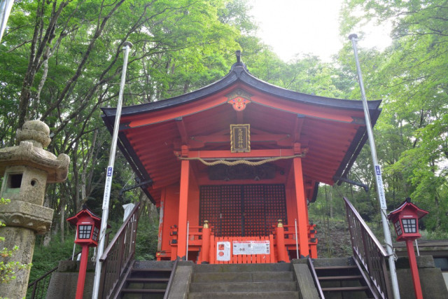 箱根九頭龍の森